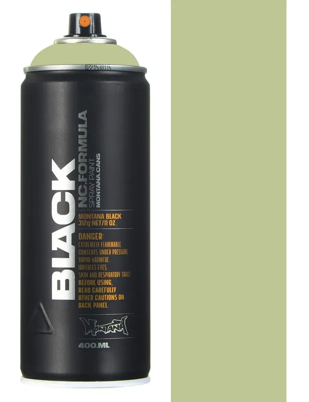 Spray Paint 400ml - Beetle BLK6420
