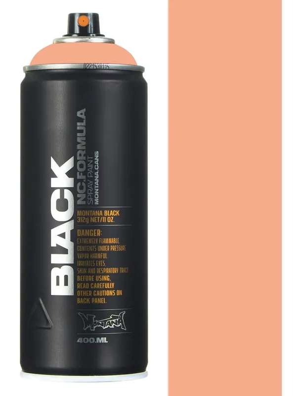 Spray Paint 400ml - Snail BLK8220