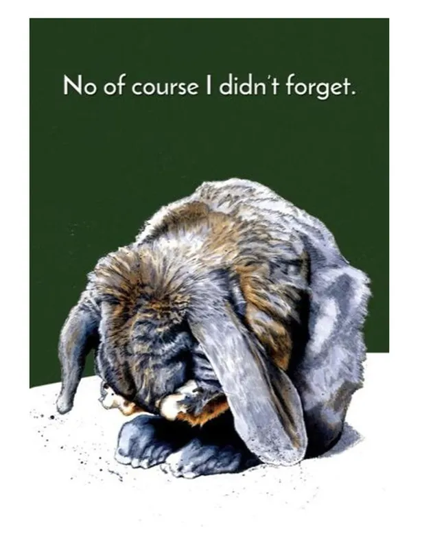 Belated Bunny Greeting Cards - Some Nice Ink