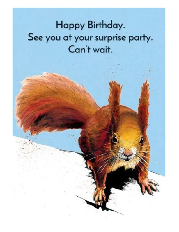 Surprise Squirrel Greeting Cards - Some Nice Ink