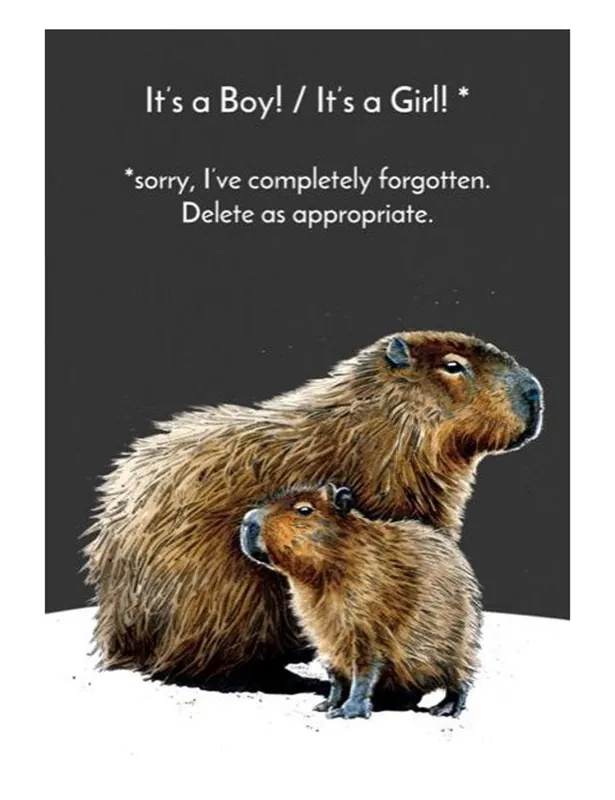 Baby Capybara Greeting Cards - Some Nice Ink