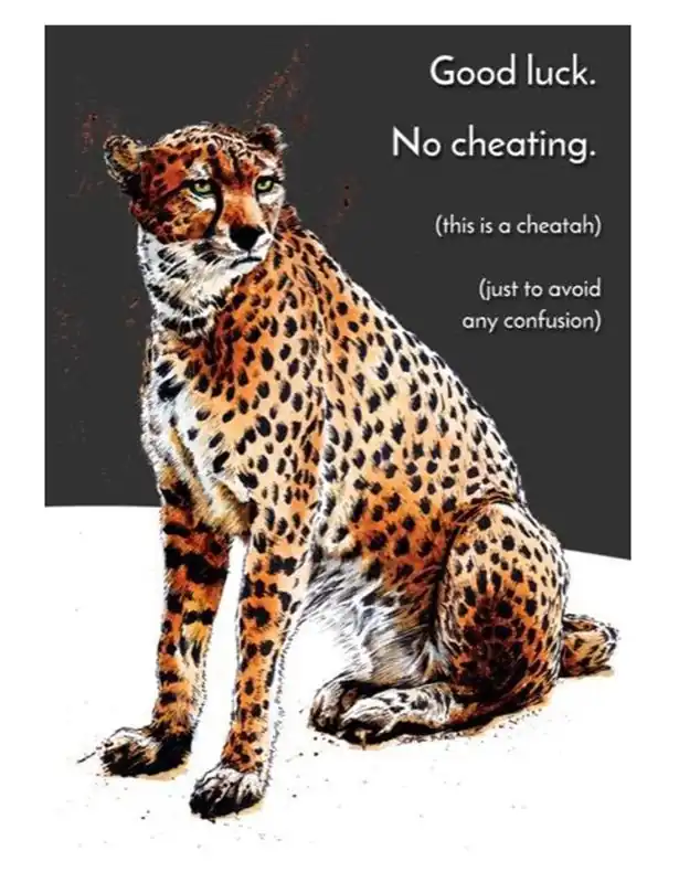 Cheating Cheatah Greeting Cards - Some Nice Ink