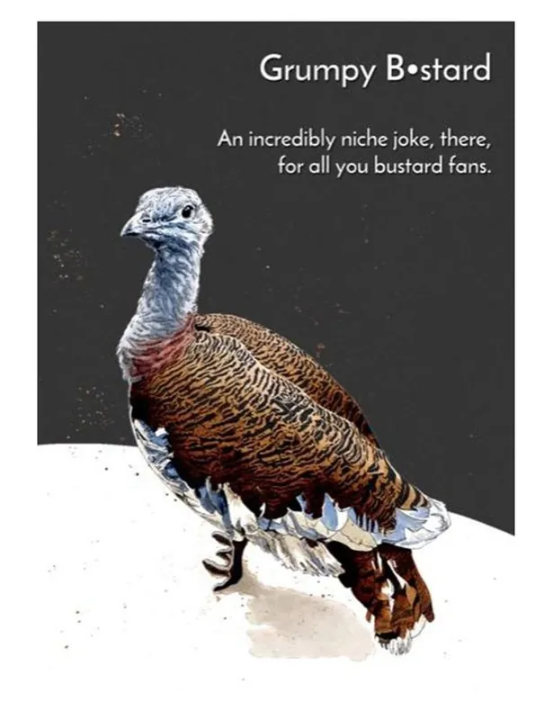 Grumpy Bustard Greeting Cards - Some Nice Ink