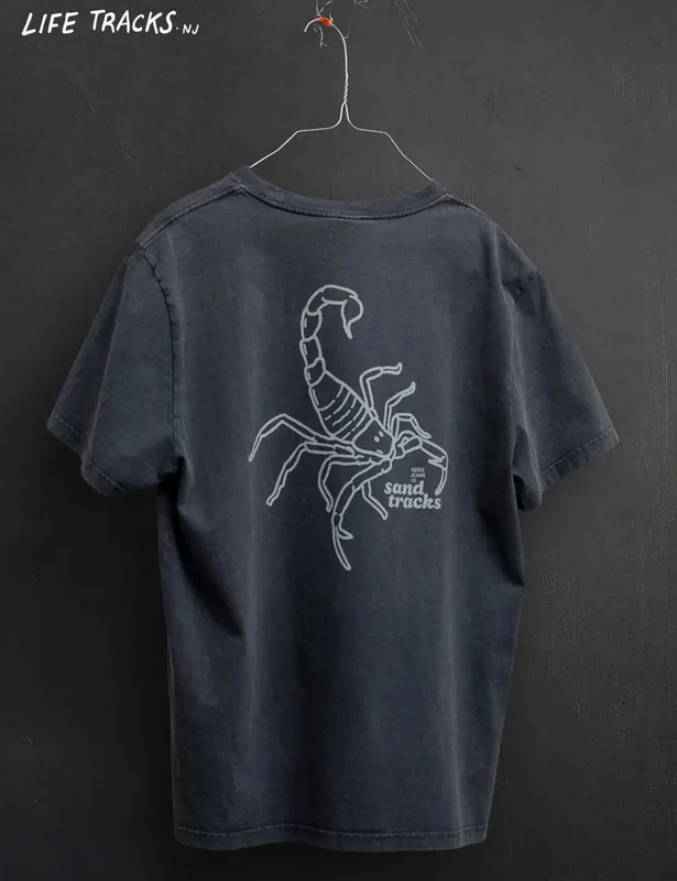 Roy Sand Tracks T-Shirt - Anthracite