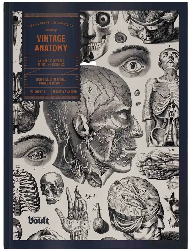 Vintage Anatomy Book by James Kale - Vault Editions