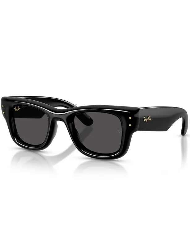 Wayfarer Puffer Sunglasses - Polished Black/Ultra Black