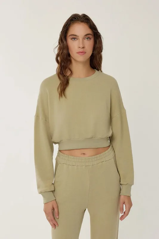 Cropped Sweatshirt - Hiccup