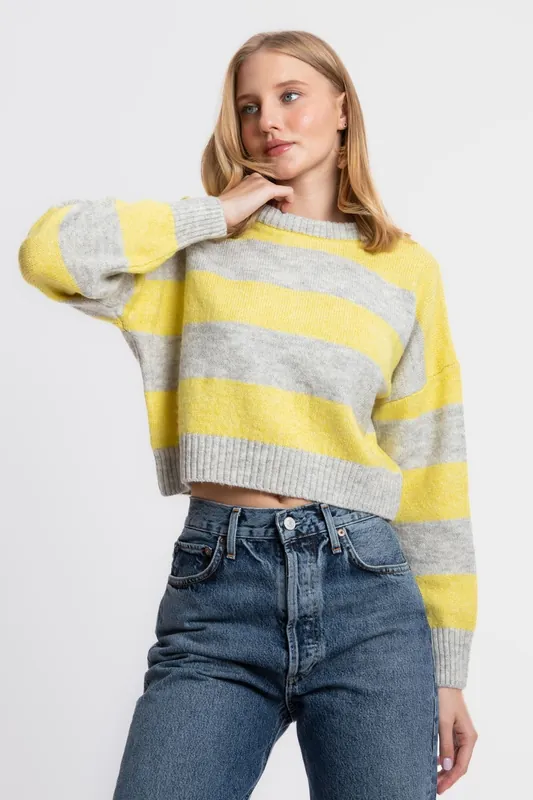 Striped Crew Neck Cropped Sweater - Hiccup