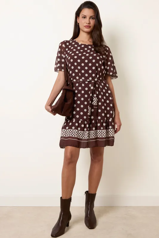 Brown Polka Dot Short Sleeve Border Dress - Blue Vanilla