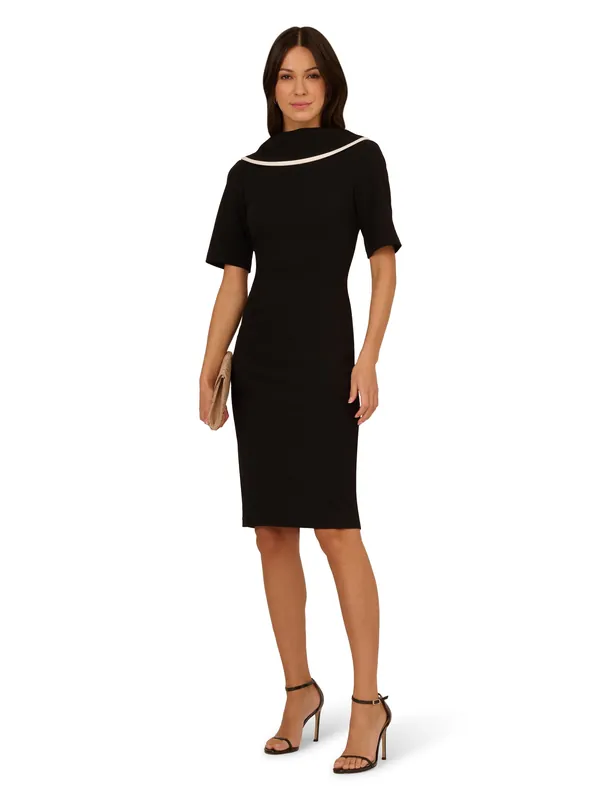 Roll Neck Sheath With V Back - Adrianna Papell