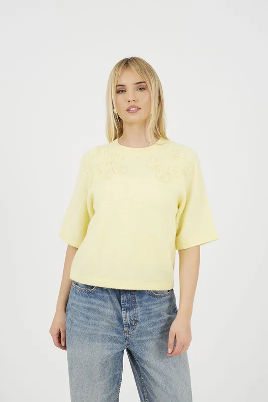 Short Sleeve Jumper With Floral Embroidery - Brave Soul