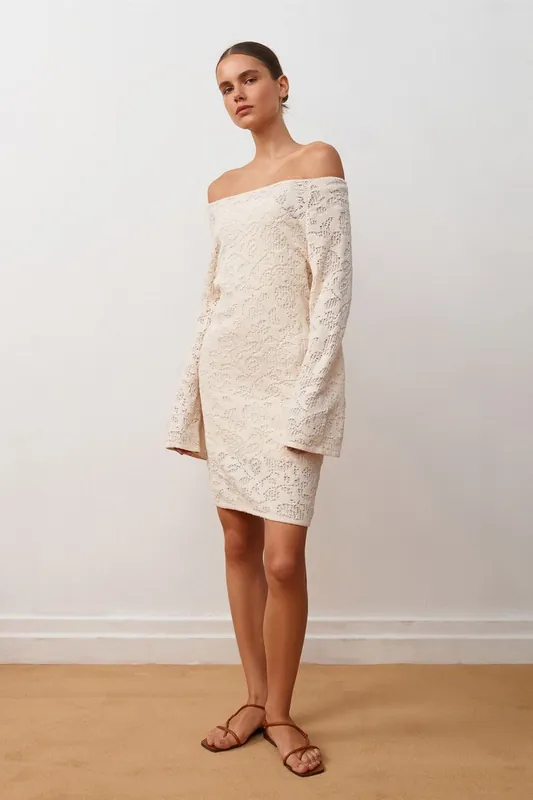 Fitted Lace Mini Dress - Dilvin