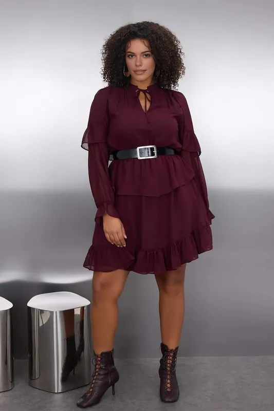 Tie Neck Layered Ruffle Mini Dress with Sheer Sleeves - WOVCOR