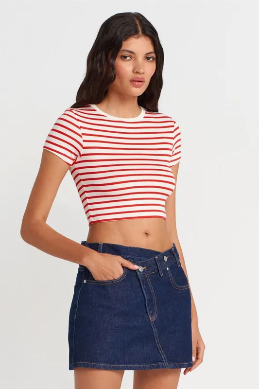 Striped Crop Top Blouse - Dilvin