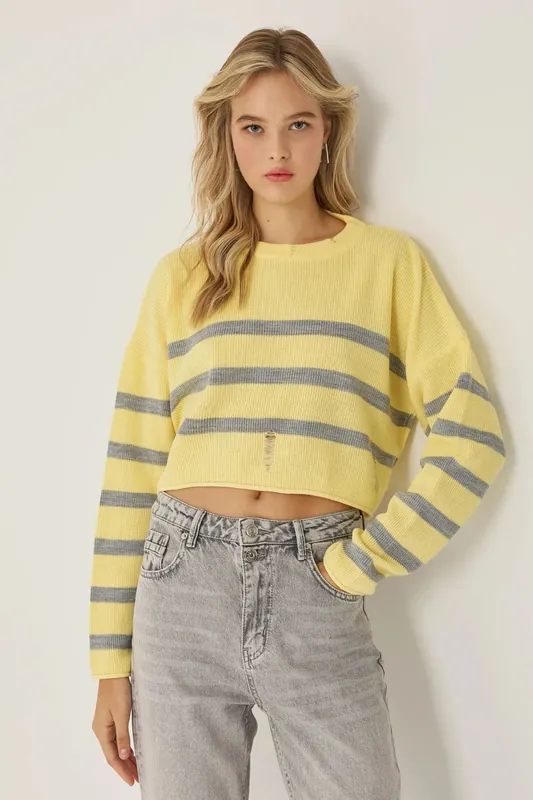 Striped Crew Neck Sweater - Hiccup
