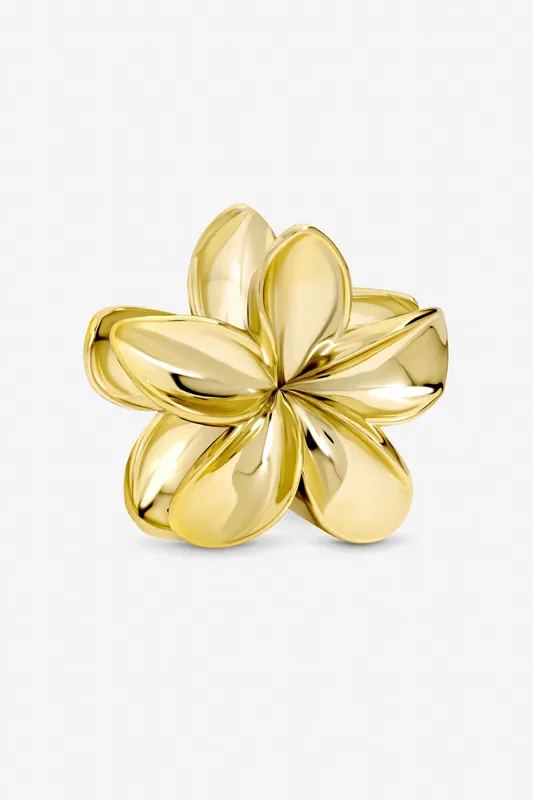 Gold Floral Claw Clip - Mood