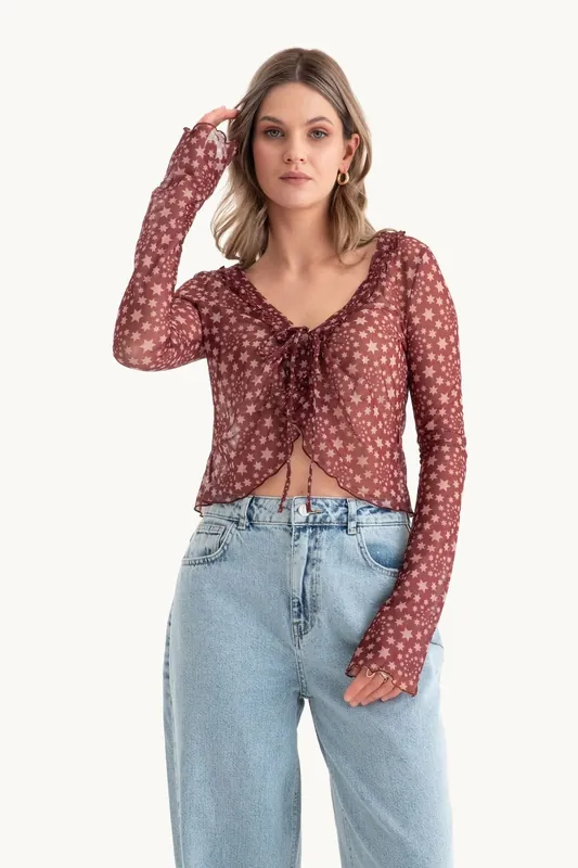Star Patterned V Neck Sheer Long Sleeve Cropped Top - Hiccup