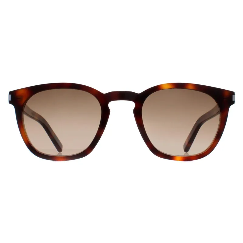 Round Havana Brown Gradient SL28 - Saint Laurent