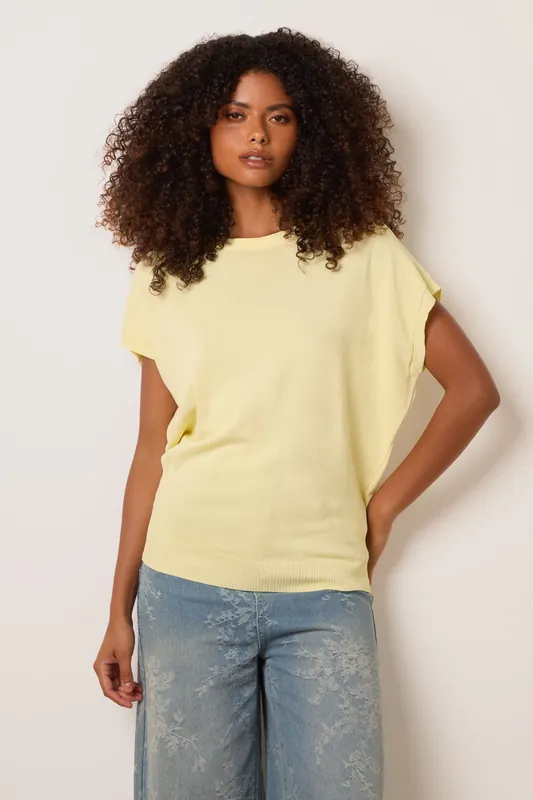 Lemon Short Sleeve Texture Knit Top - Blue Vanilla