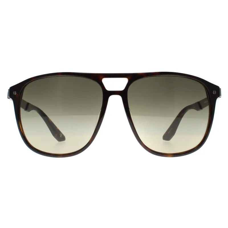 Aviator Dark Havana Green Gradient Polarized BW0001 Sunglasses - BMW