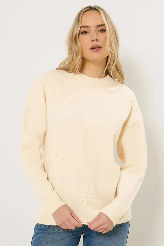 Tall Floral Embroidered Jumper - Long Tall Sally