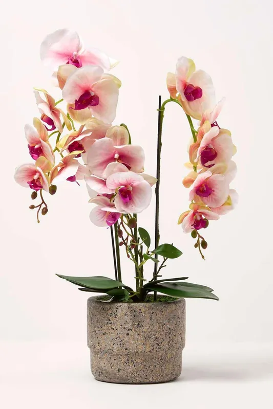 Luxury Artificial Orchid in Pot, 3 Stems, 64 cm, Pink - Homescapes