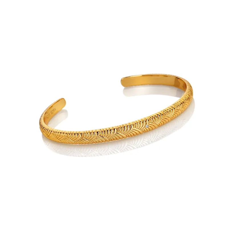 HD X GE Paris Bangle - Hot Diamonds