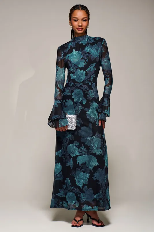 Ruffle Long Sleeve Mesh Maxi Dress - Jolie Moi