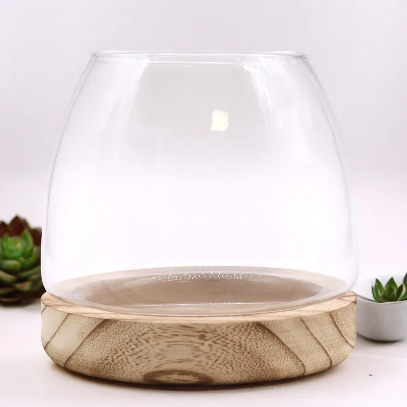Medium Terarium on Natural Tung Wood - KDMD