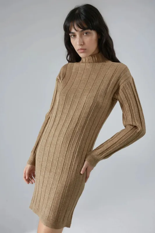 Ribbed Turtleneck Mini Knit Dress - MyFashion