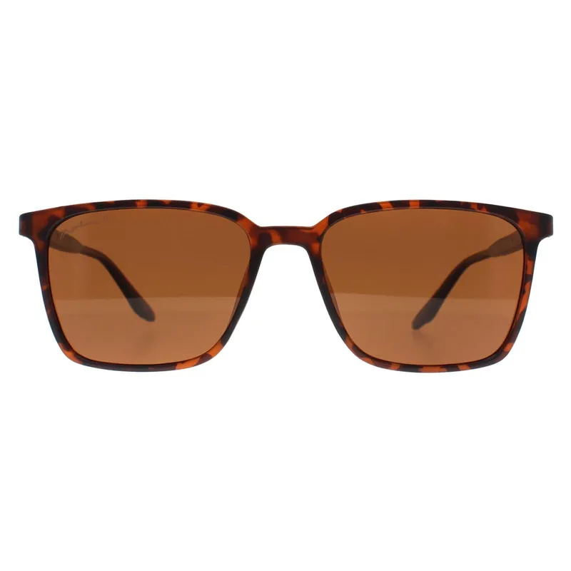 Square Turtle Brown Polarized MP186 - montana