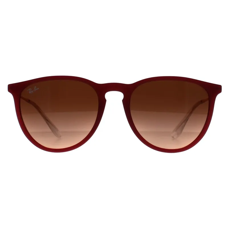 Round Polished Rubber Violet Pink Gradient Brown RB4171 Erika - Ray-Ban
