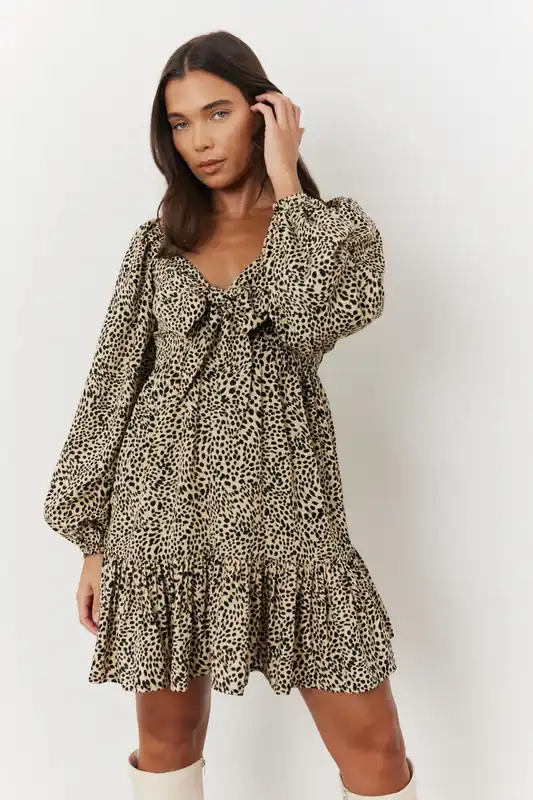 Leopard Print Tie Front Smock Frill Mini Dress - In The Style