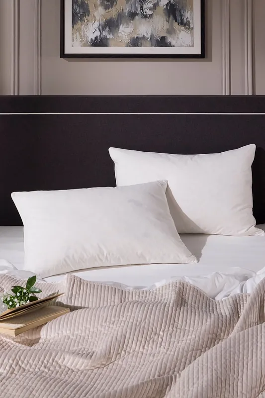 2 Pack Hotel Goose Feather & Down Back Sleeper Pillow - Snuggledown