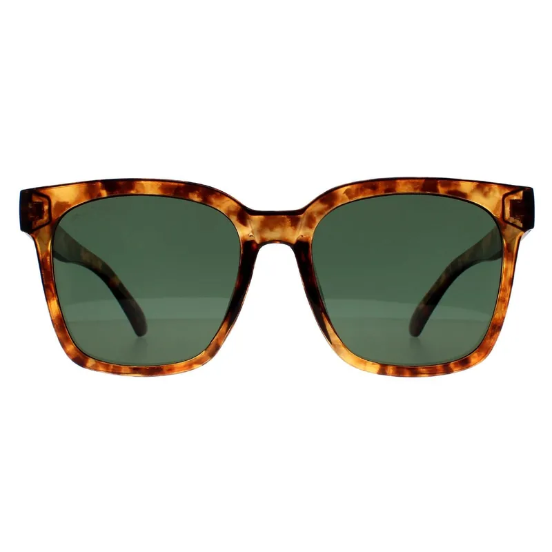 Square Shiny Havana Soft Demi Green Polarized MP72 - montana