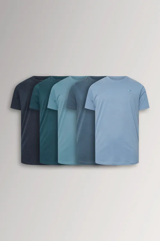 5 Pack Core T-Shirts
