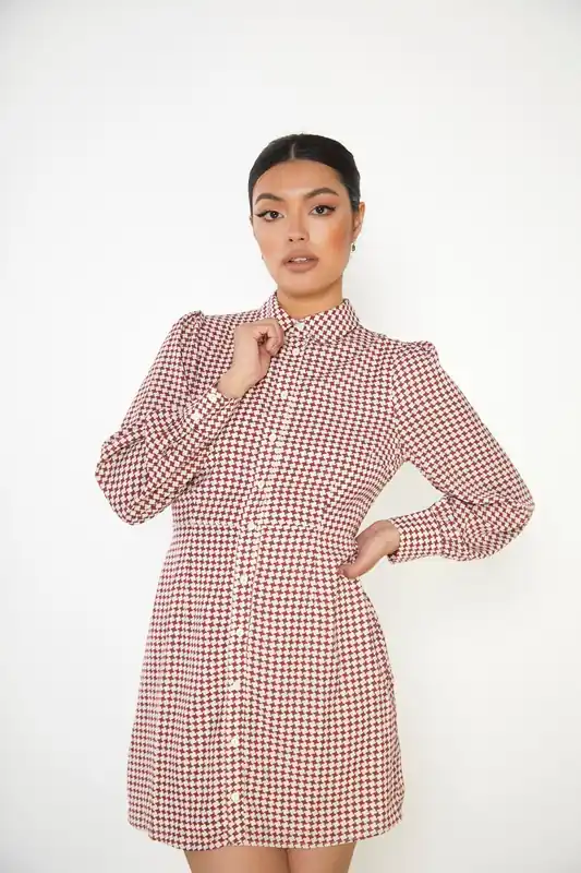 Long Sleeve Mini Shirt Dress - Shnoo