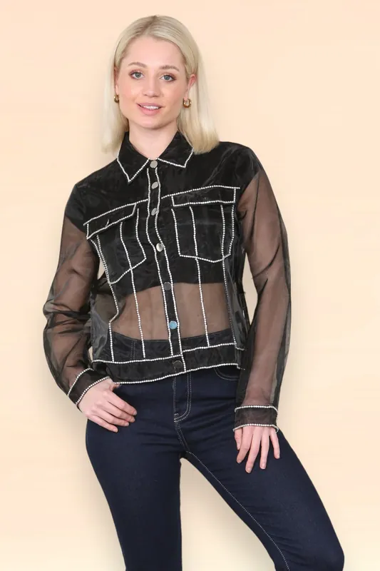 Button Down Collar Sheer Blouse - ELAINA FASHION