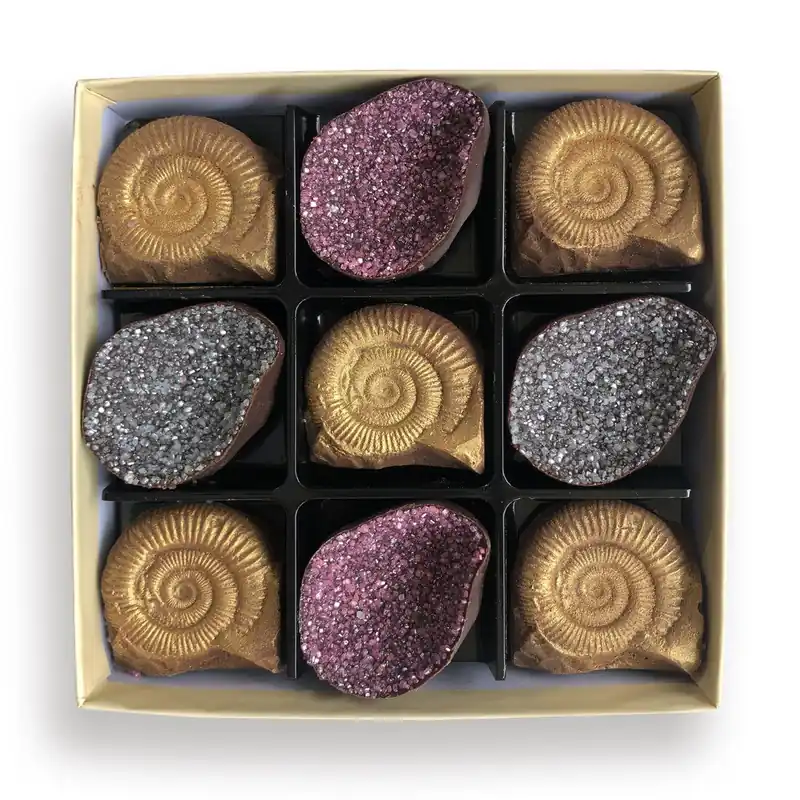 Chocolate Fossils And Amethyst - CHOC ON CHOC