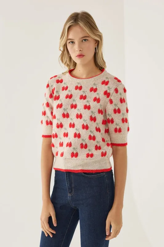 Patterned Short Sleeve Knit Sweater - Hiccup