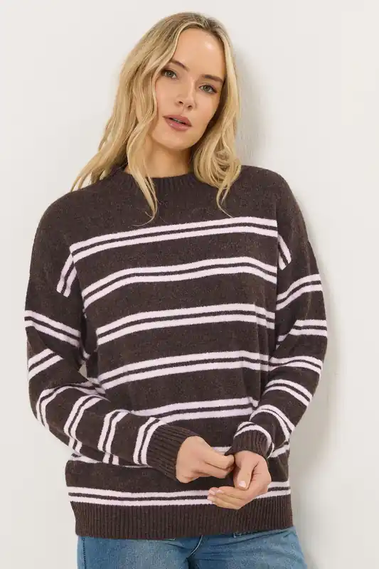 Tall Stripe Jumper - Long Tall Sally