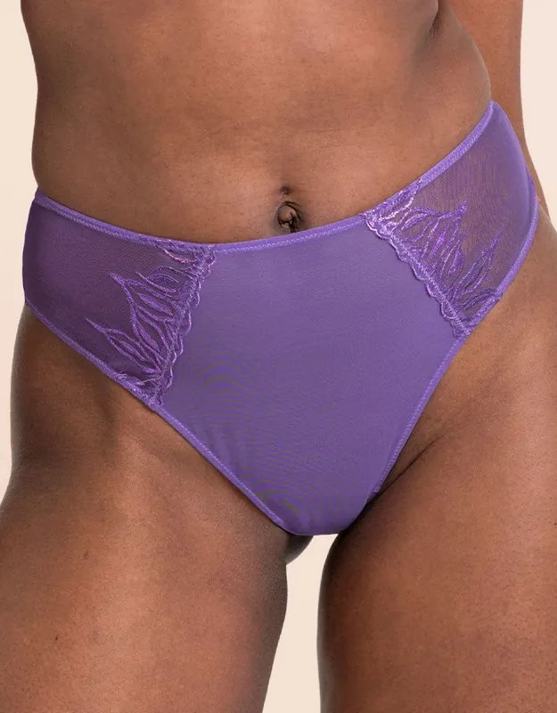 Flare Deep Thong Brief Knickers Lingerie - Curvy Kate