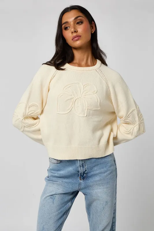 Crochet embroidery raglan jumper - Urban Bliss