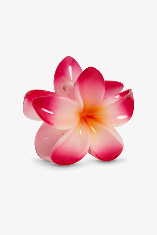 Pink Ombre Claw Clip - Mood