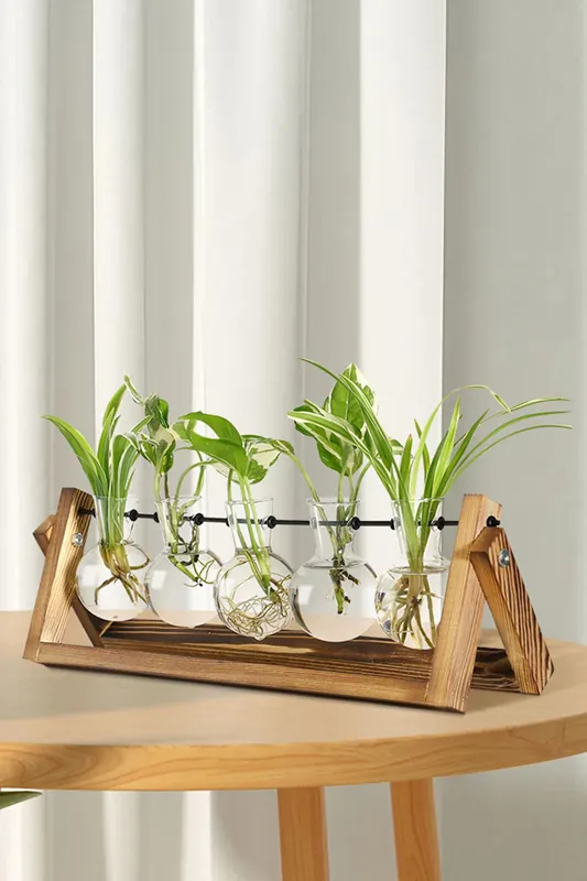 Bulb Shape Hydroponic Glass Vase with Wooden Stand - Living and Home