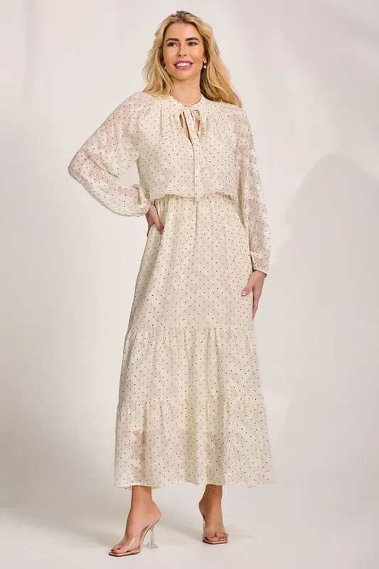 Textured Chiffon Long Sleeve Maxi Dress - Jolie Moi