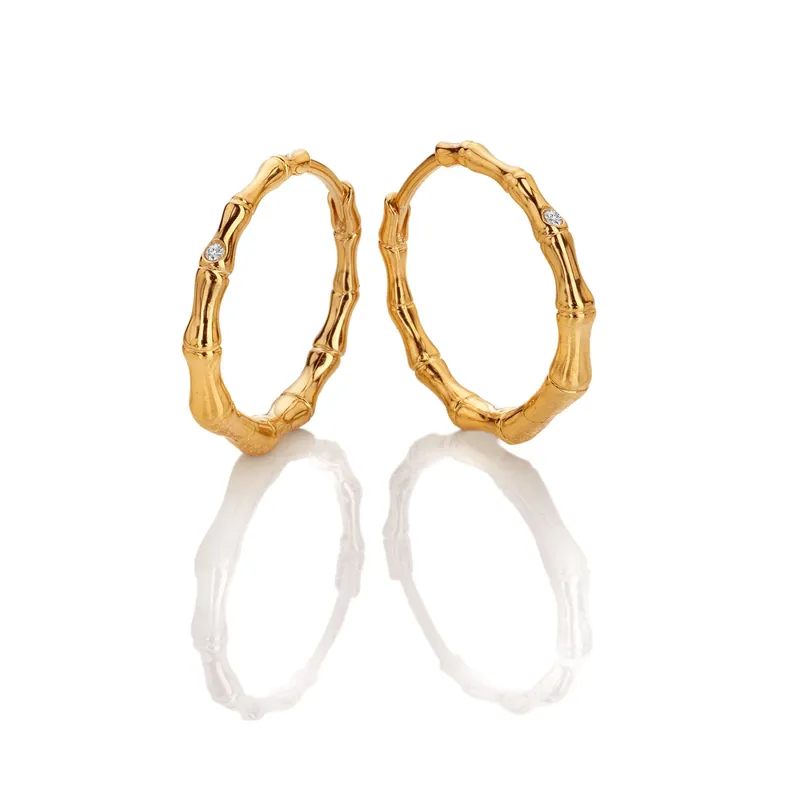 HD X GE Bondi Earrings - Hot Diamonds