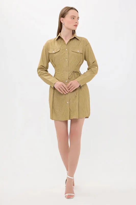 Striped Woven Mini Dress with Button Details - Hiccup