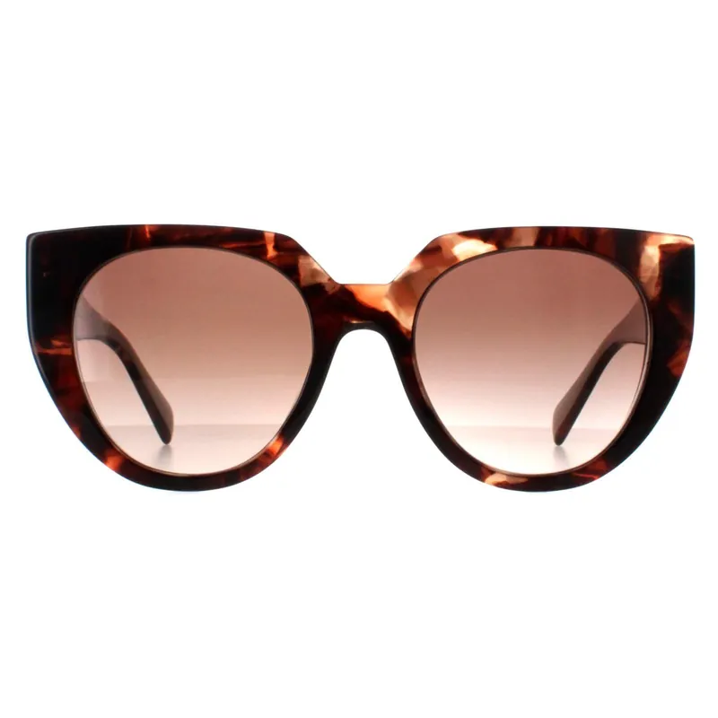 Cat Eye Caramel Tortoise and Powder Brown Gradient PR14WS - Prada