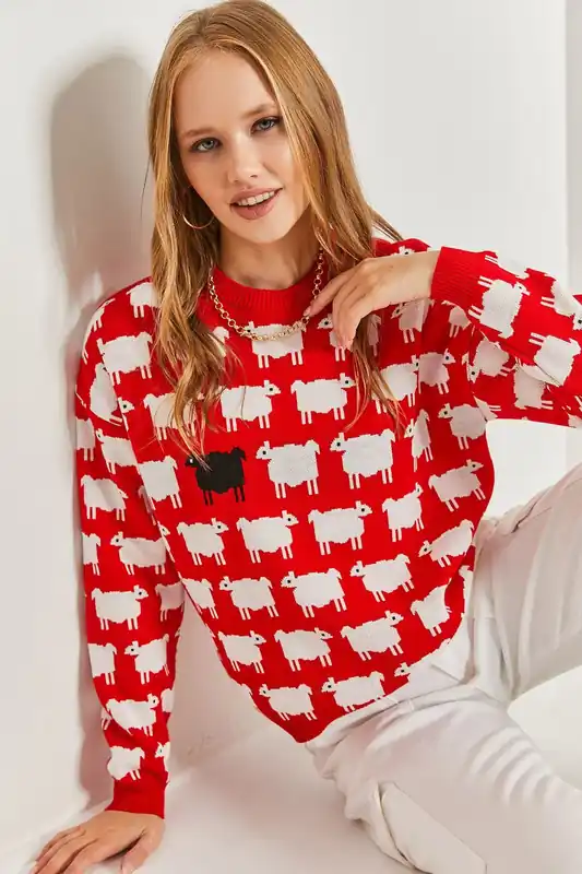 Patterned Thick Knit Crew Neck Sweater - Bianco Lucci